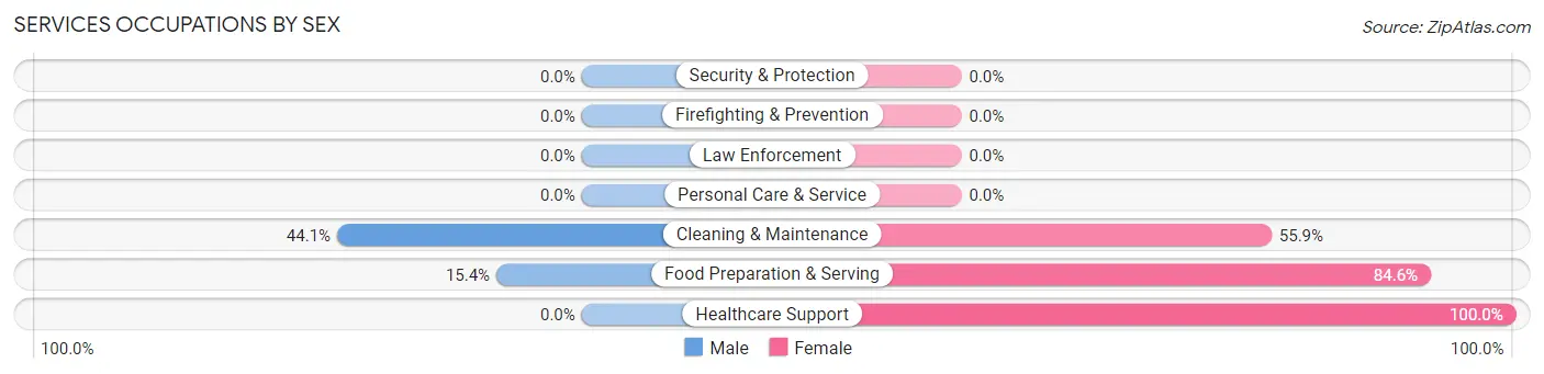 Services Occupations by Sex in Zip Code 98377