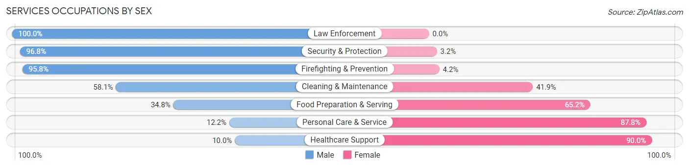 Services Occupations by Sex in Zip Code 98382