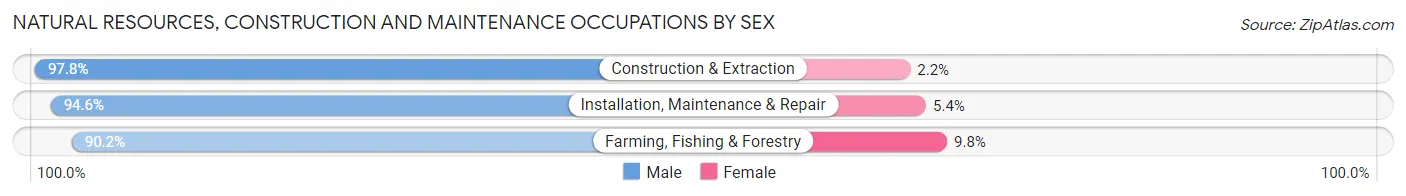 Natural Resources, Construction and Maintenance Occupations by Sex in Zip Code 98391