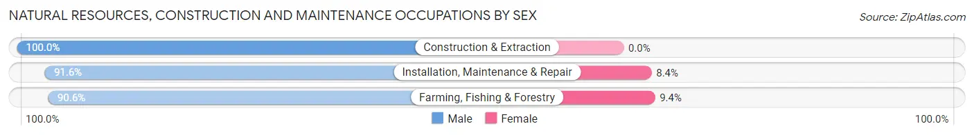 Natural Resources, Construction and Maintenance Occupations by Sex in Zip Code 98513