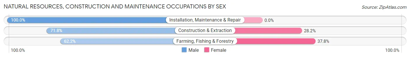 Natural Resources, Construction and Maintenance Occupations by Sex in Zip Code 98537