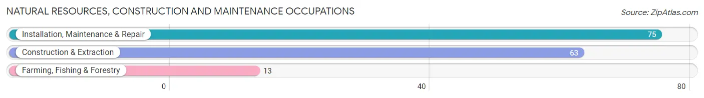 Natural Resources, Construction and Maintenance Occupations in Zip Code 98568