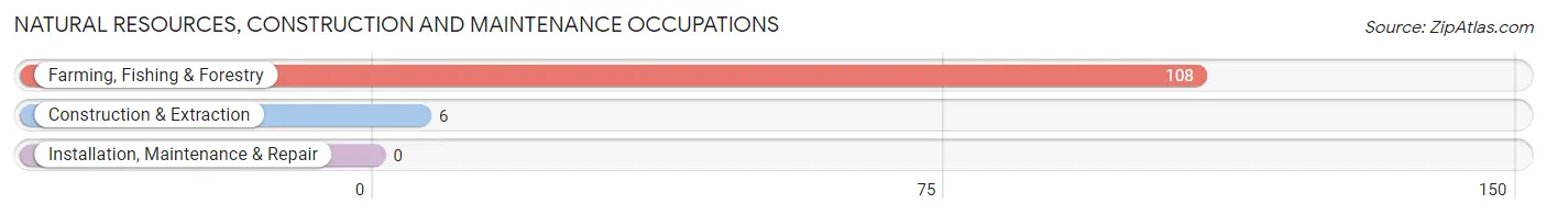 Natural Resources, Construction and Maintenance Occupations in Zip Code 98590