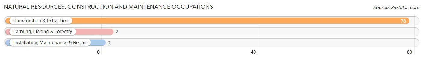 Natural Resources, Construction and Maintenance Occupations in Zip Code 98635