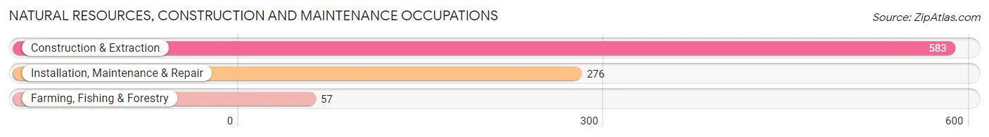 Natural Resources, Construction and Maintenance Occupations in Zip Code 98671