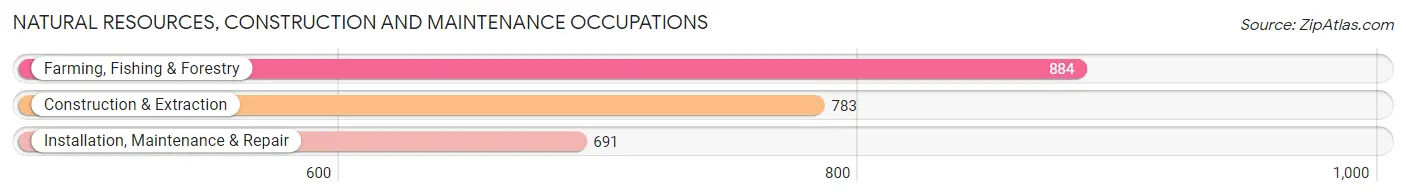 Natural Resources, Construction and Maintenance Occupations in Zip Code 98802