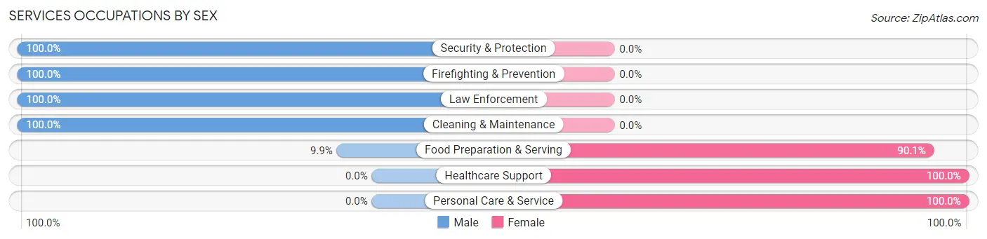 Services Occupations by Sex in Zip Code 99003