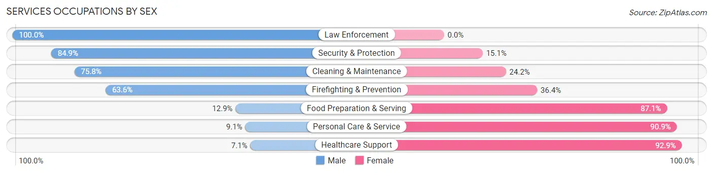 Services Occupations by Sex in Zip Code 99006