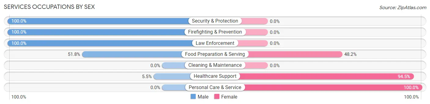 Services Occupations by Sex in Zip Code 99019