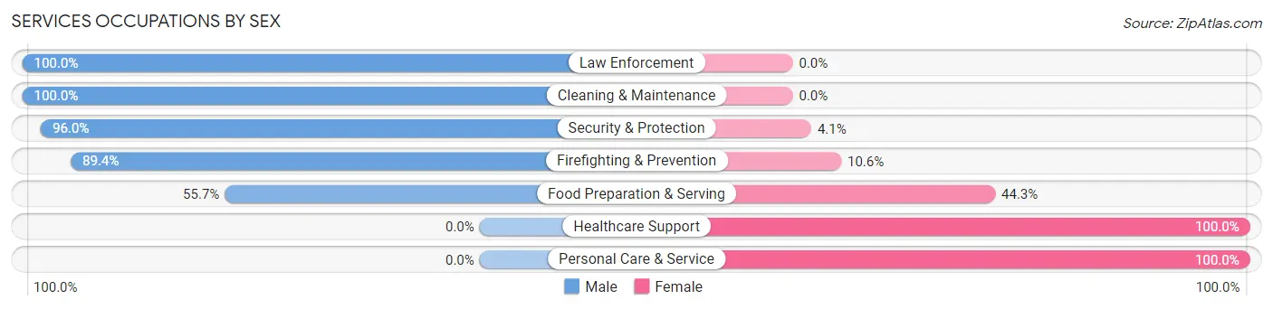 Services Occupations by Sex in Zip Code 99026