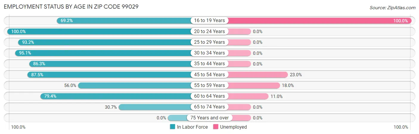 Employment Status by Age in Zip Code 99029
