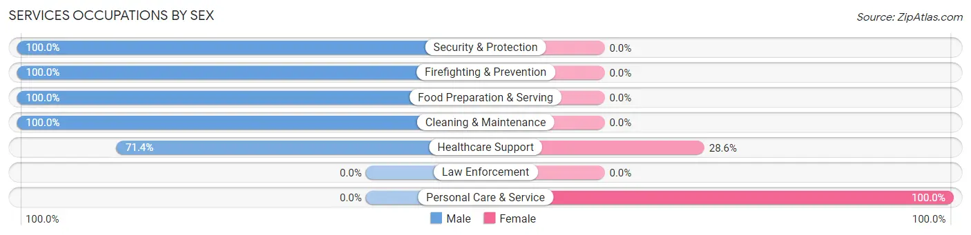 Services Occupations by Sex in Zip Code 99040
