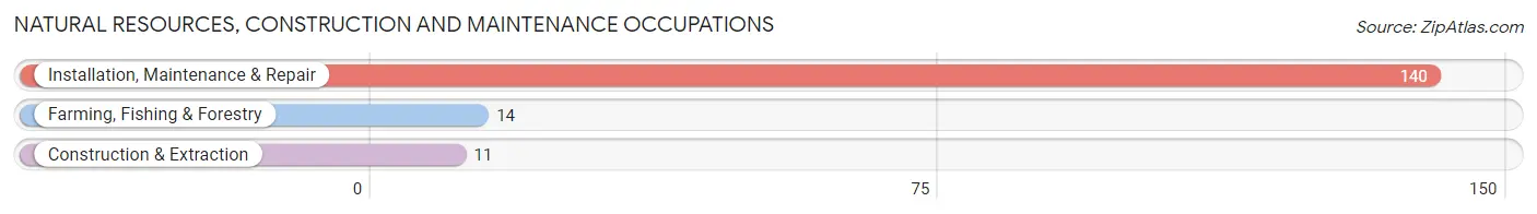 Natural Resources, Construction and Maintenance Occupations in Zip Code 99101