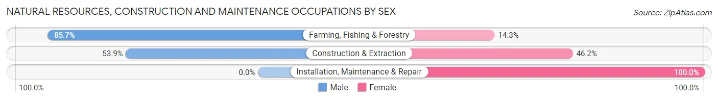 Natural Resources, Construction and Maintenance Occupations by Sex in Zip Code 99102