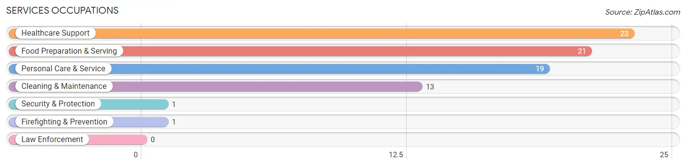 Services Occupations in Zip Code 99119