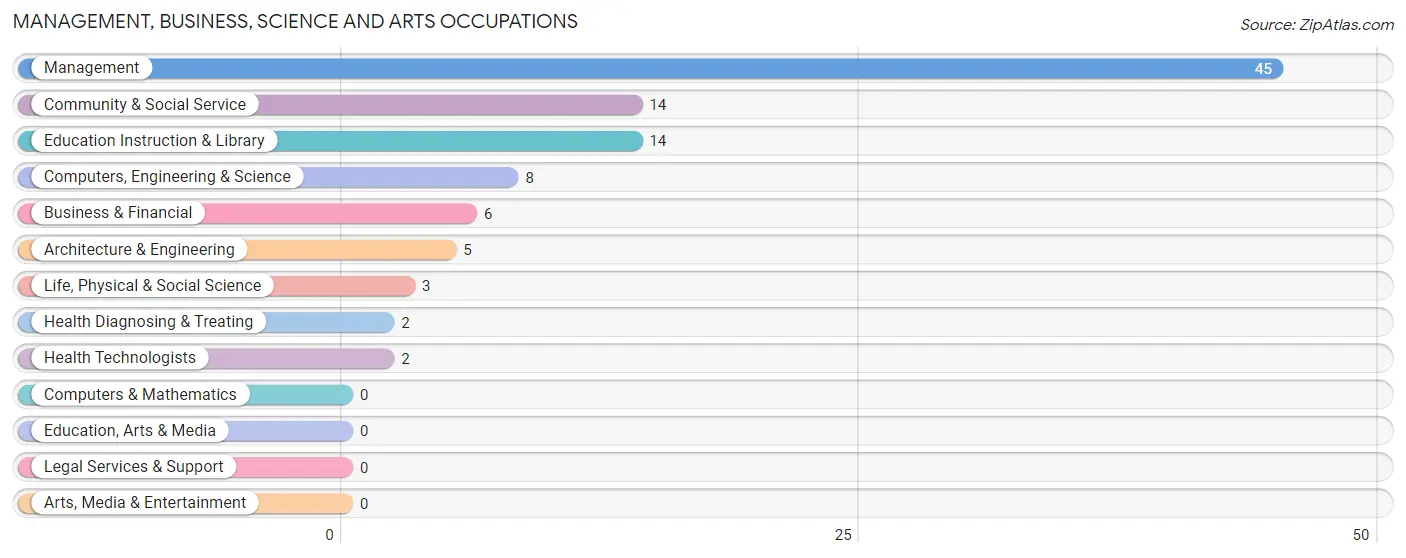 Management, Business, Science and Arts Occupations in Zip Code 99135