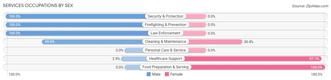 Services Occupations by Sex in Zip Code 99140