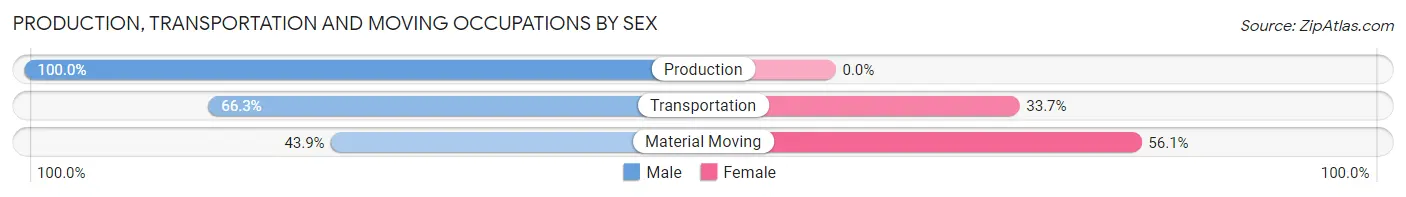 Production, Transportation and Moving Occupations by Sex in Zip Code 99141