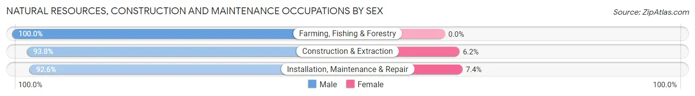 Natural Resources, Construction and Maintenance Occupations by Sex in Zip Code 99207