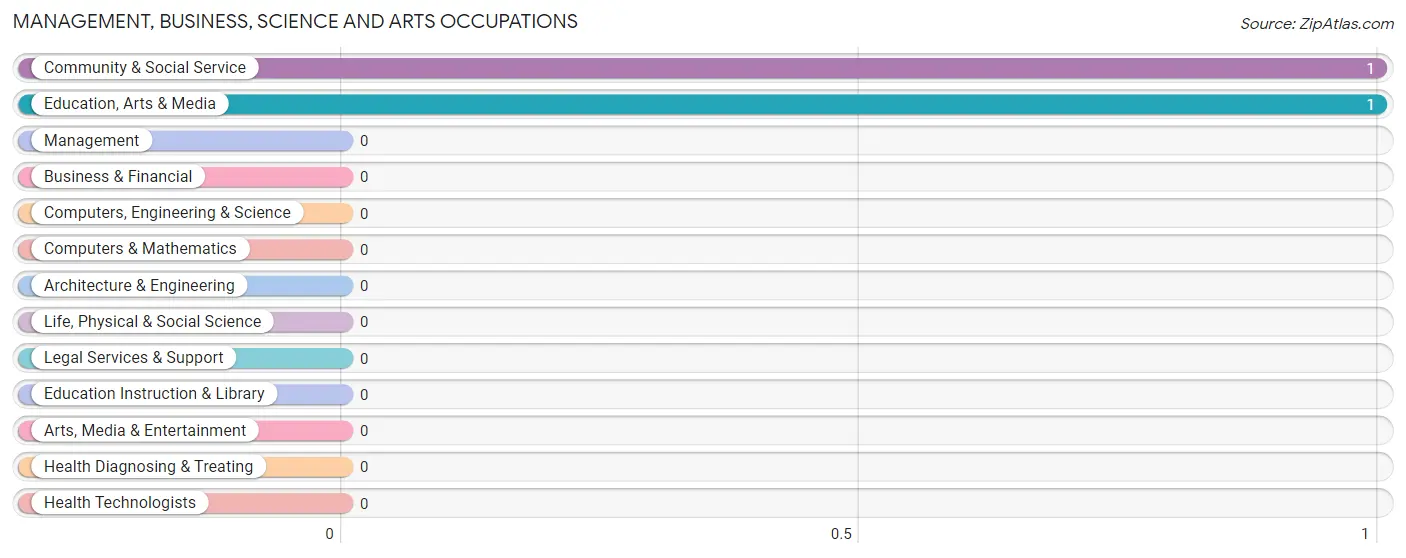 Management, Business, Science and Arts Occupations in Zip Code 99569