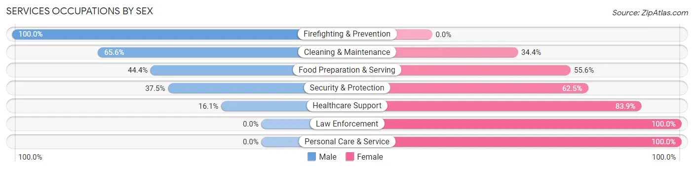 Services Occupations by Sex in Zip Code 99581