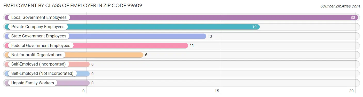 Employment by Class of Employer in Zip Code 99609