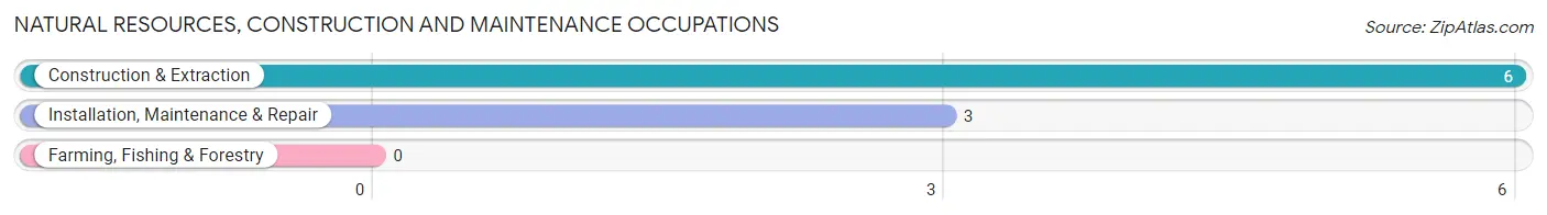 Natural Resources, Construction and Maintenance Occupations in Zip Code 99634