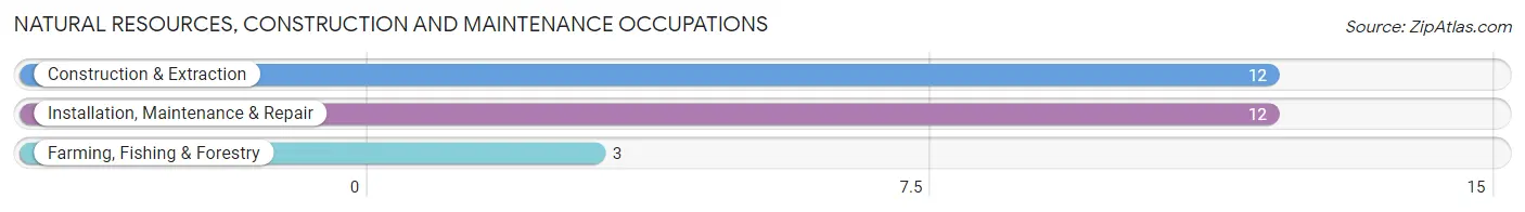 Natural Resources, Construction and Maintenance Occupations in Zip Code 99655