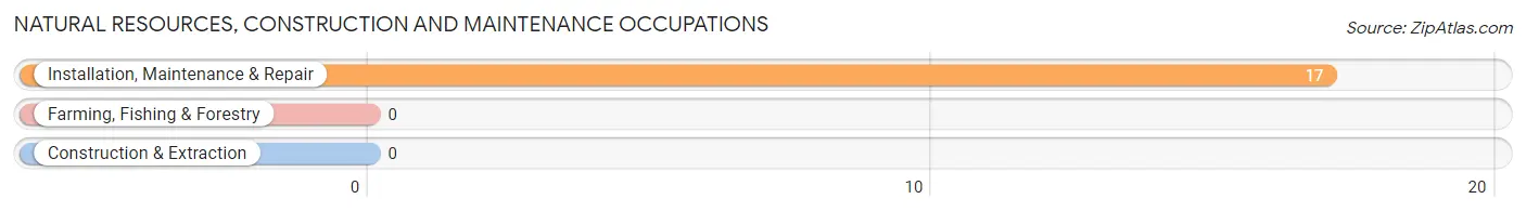 Natural Resources, Construction and Maintenance Occupations in Zip Code 99721