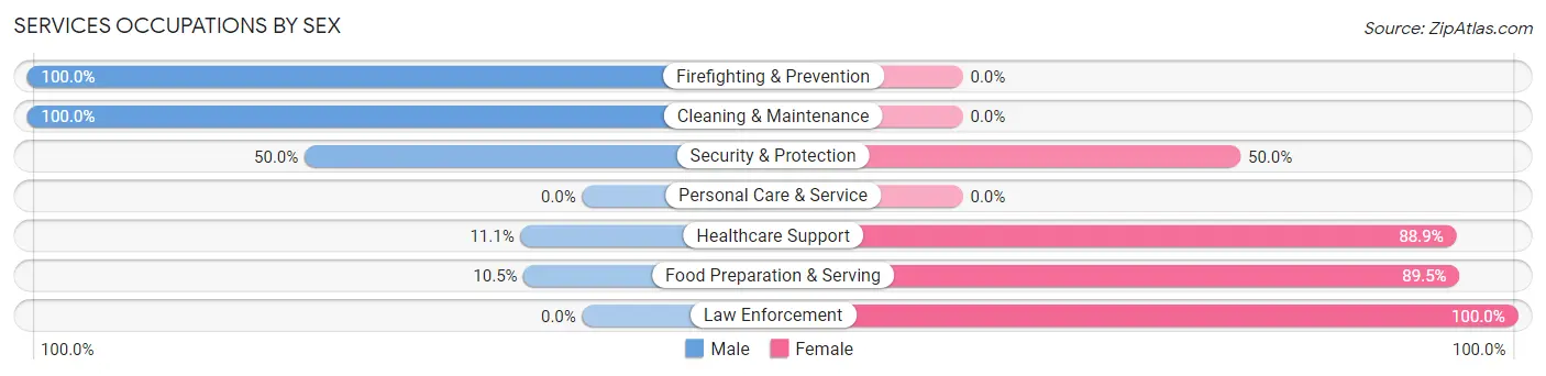 Services Occupations by Sex in Zip Code 99741