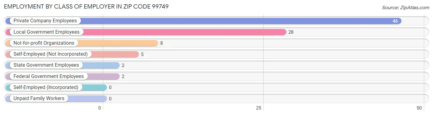 Employment by Class of Employer in Zip Code 99749