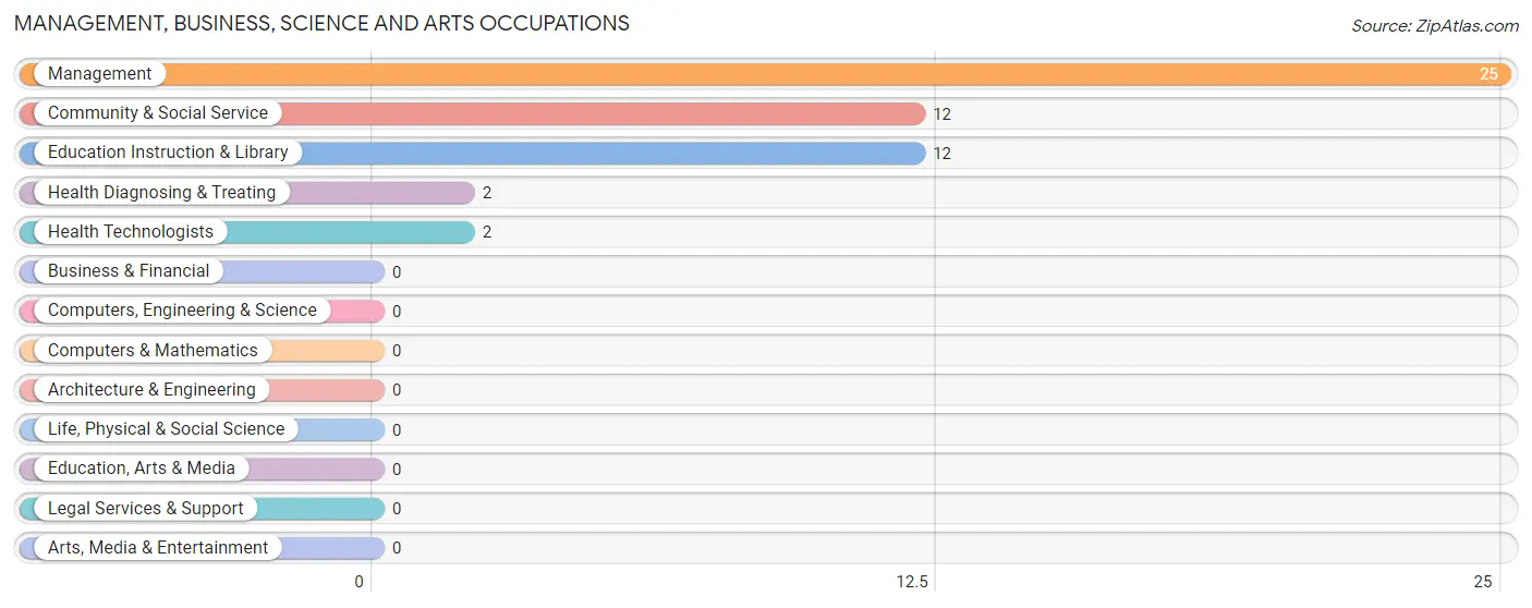 Management, Business, Science and Arts Occupations in Zip Code 99778