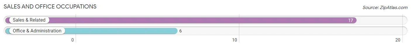 Sales and Office Occupations in Zip Code 99785