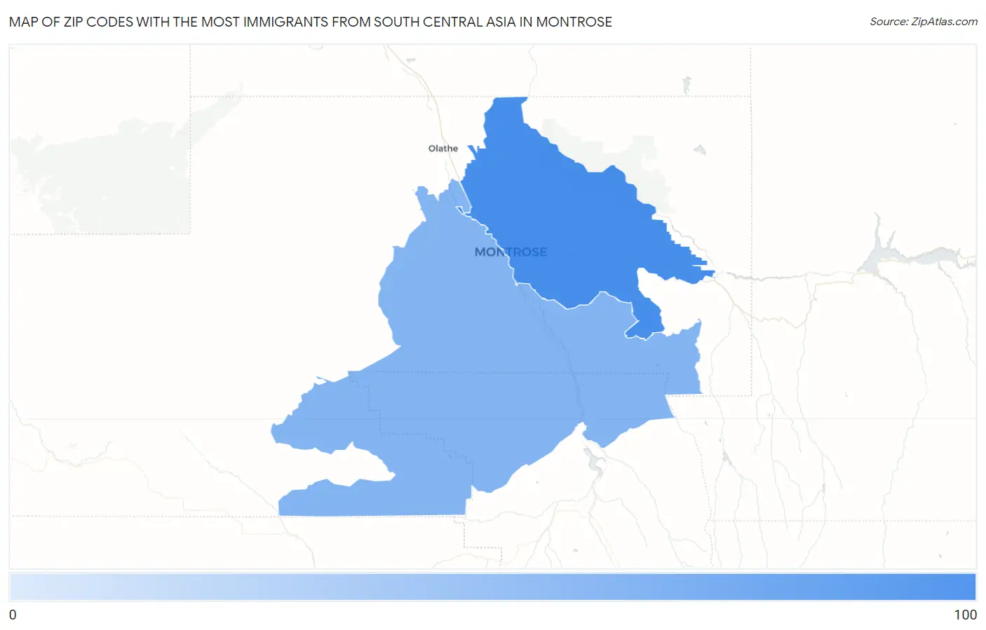 Zip Codes with the Most Immigrants from South Central Asia in Montrose Map