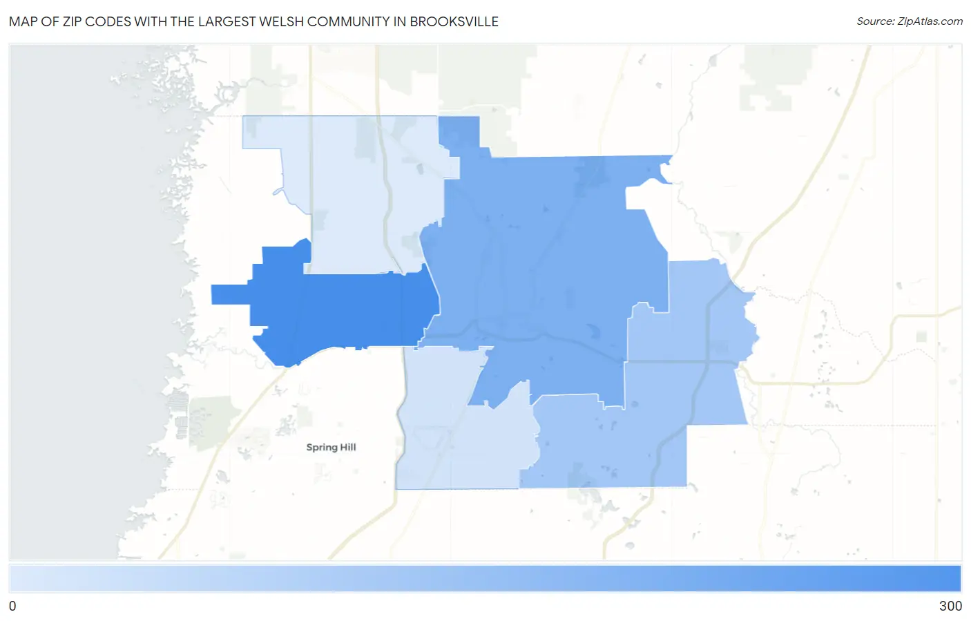 Zip Codes with the Largest Welsh Community in Brooksville Map