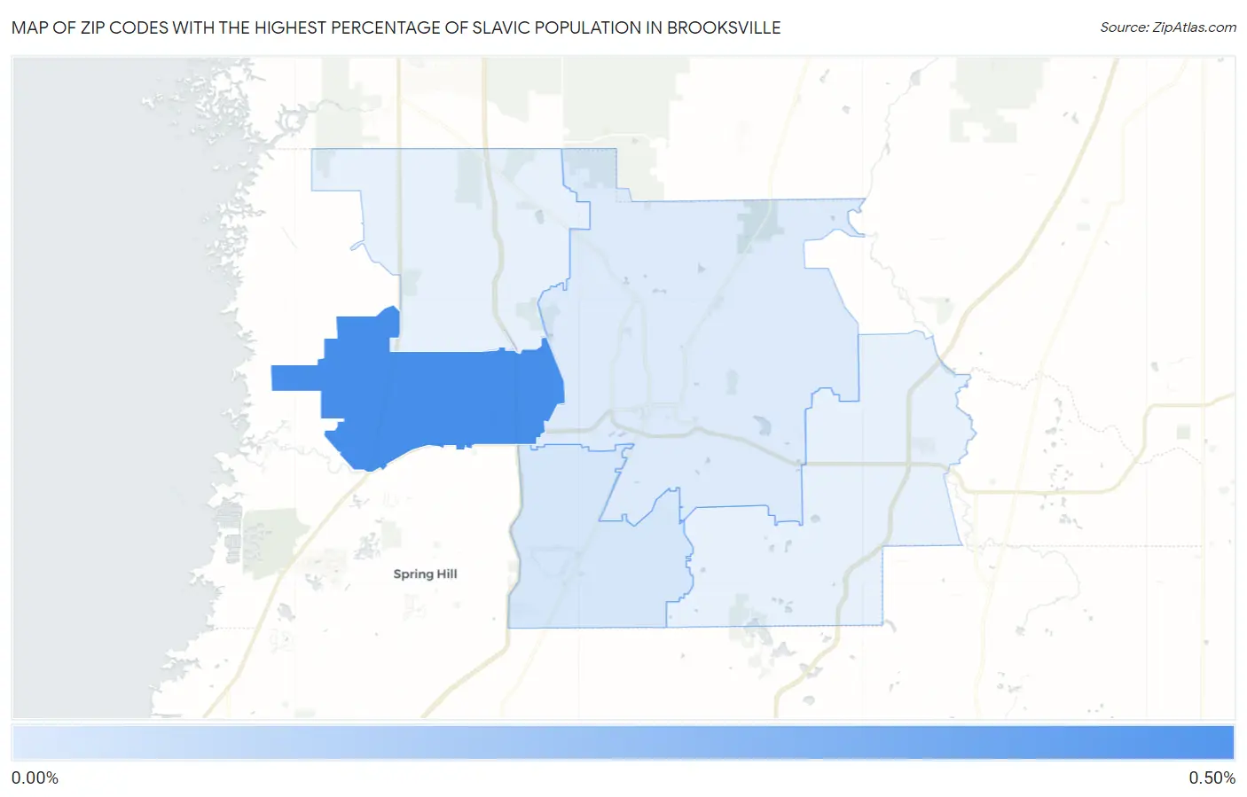 Zip Codes with the Highest Percentage of Slavic Population in Brooksville Map