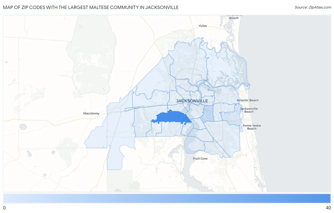Zip Codes with the Largest Maltese Community in Jacksonville Map