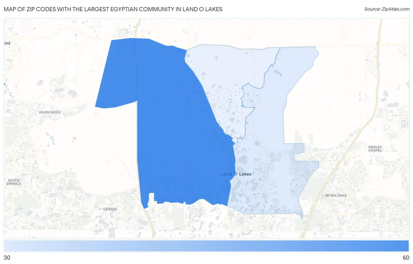 Zip Codes with the Largest Egyptian Community in Land O Lakes Map
