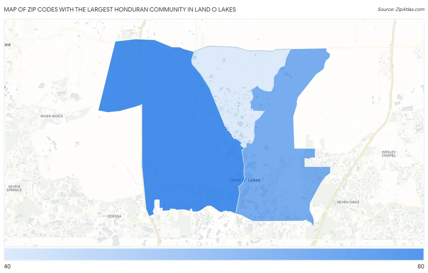 Zip Codes with the Largest Honduran Community in Land O Lakes Map