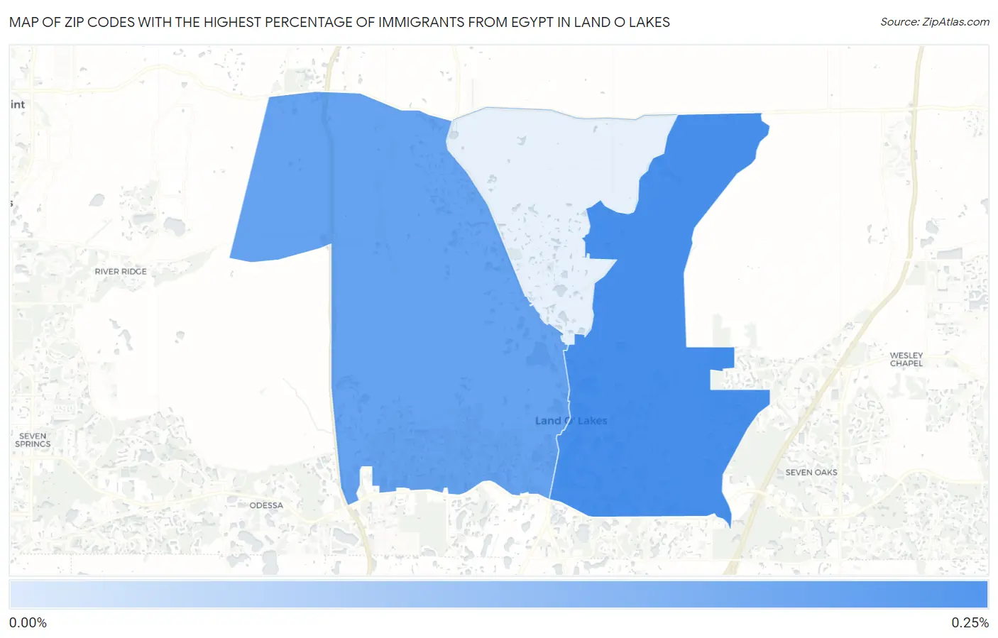 Zip Codes with the Highest Percentage of Immigrants from Egypt in Land O Lakes Map