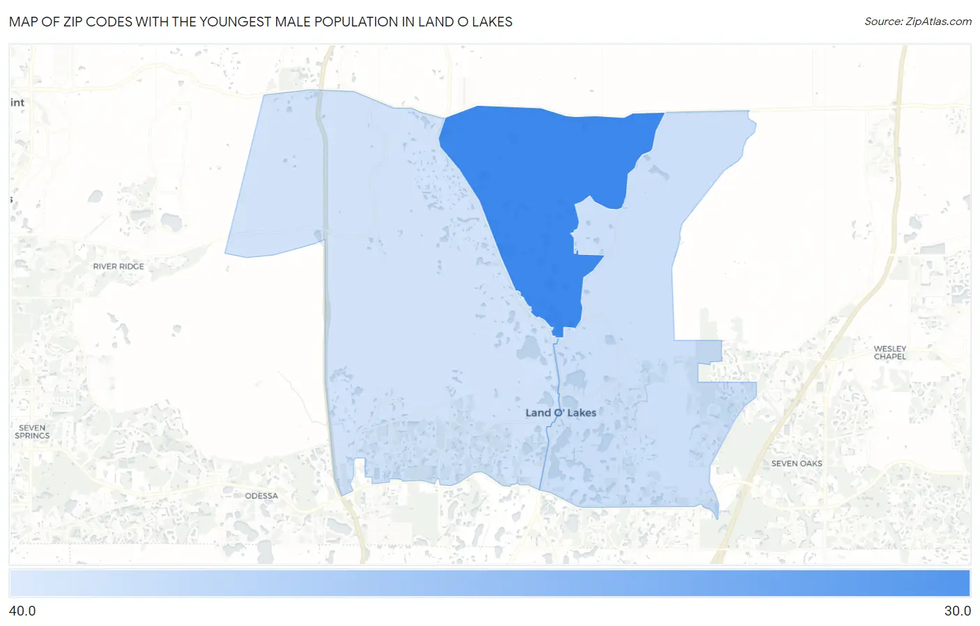 Zip Codes with the Youngest Male Population in Land O Lakes Map
