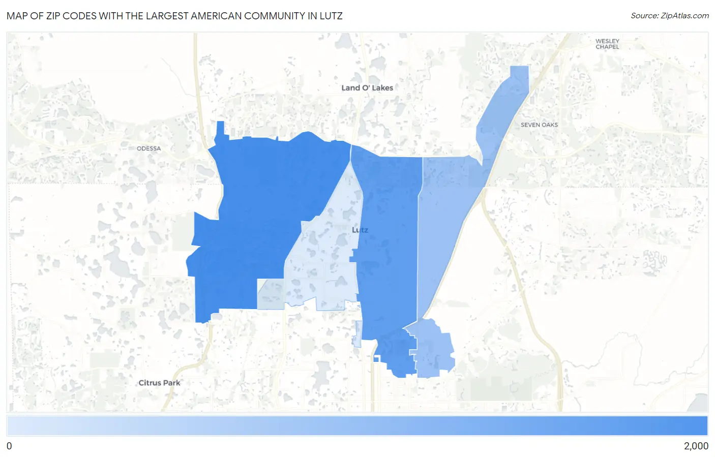 Zip Codes with the Largest American Community in Lutz Map