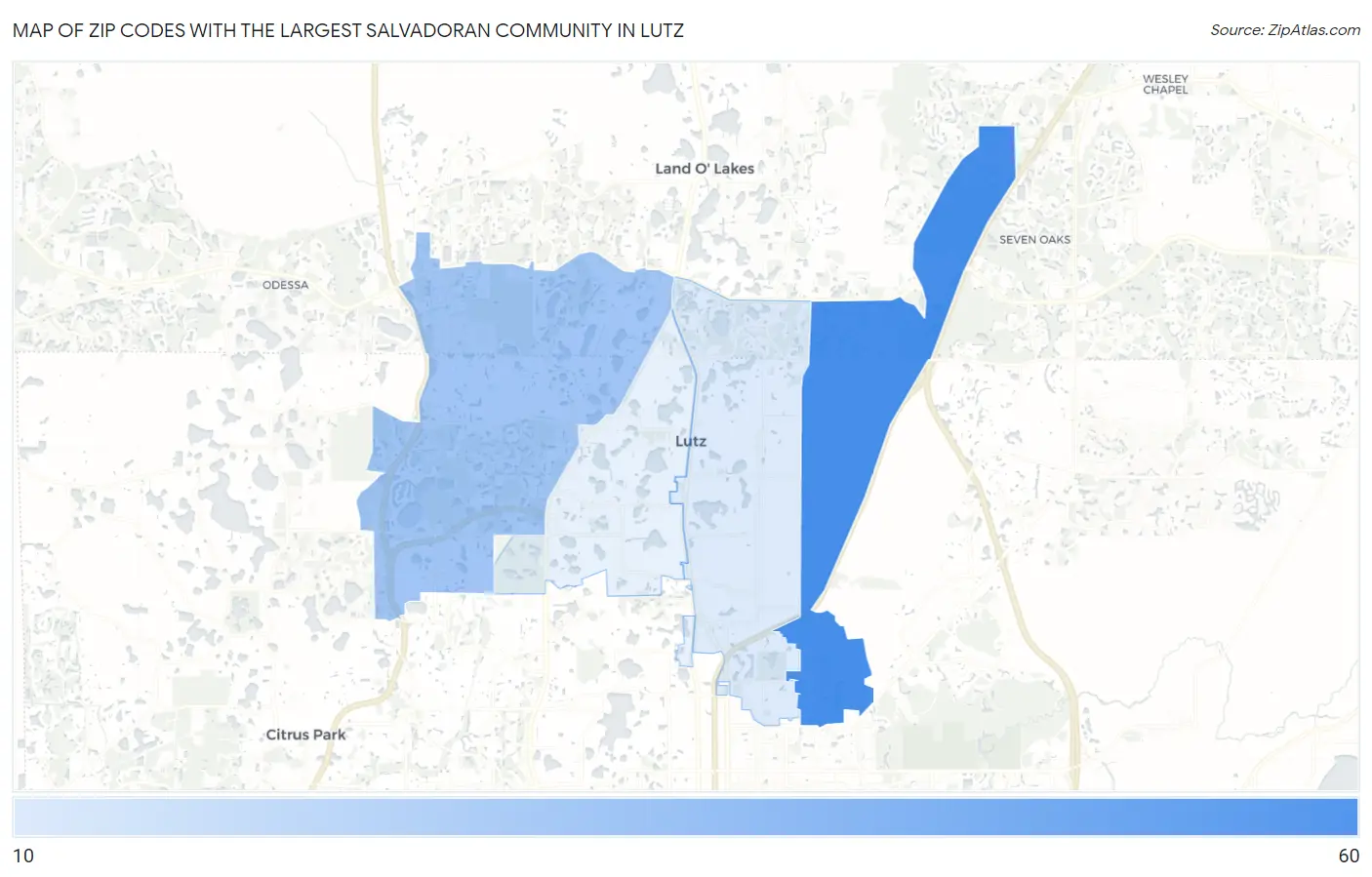 Zip Codes with the Largest Salvadoran Community in Lutz Map
