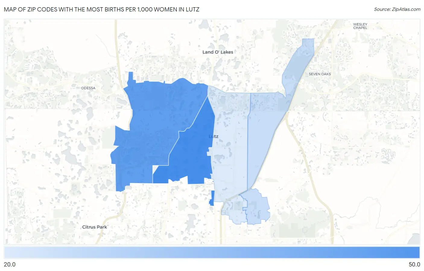 Zip Codes with the Most Births per 1,000 Women in Lutz Map