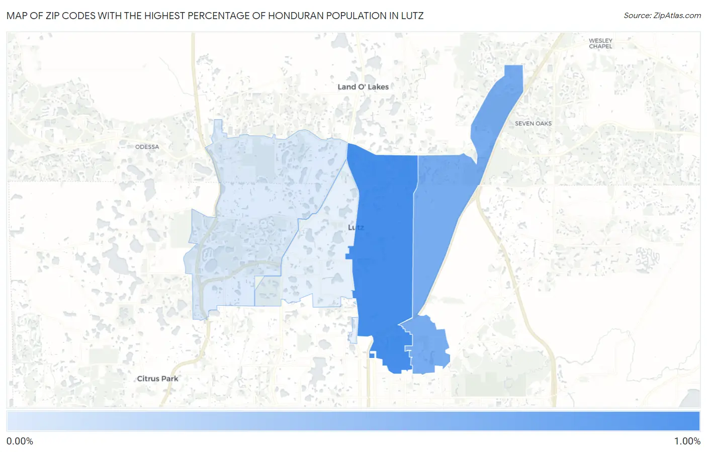 Zip Codes with the Highest Percentage of Honduran Population in Lutz Map