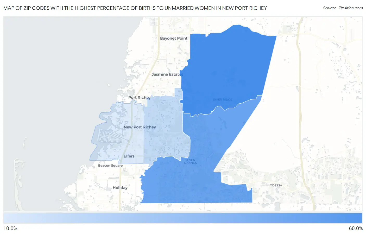Zip Codes with the Highest Percentage of Births to Unmarried Women in New Port Richey Map