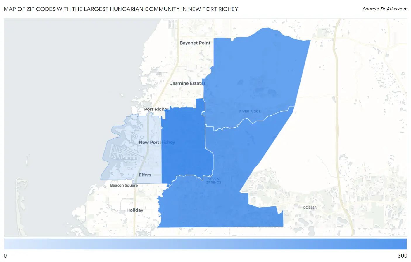 Zip Codes with the Largest Hungarian Community in New Port Richey Map