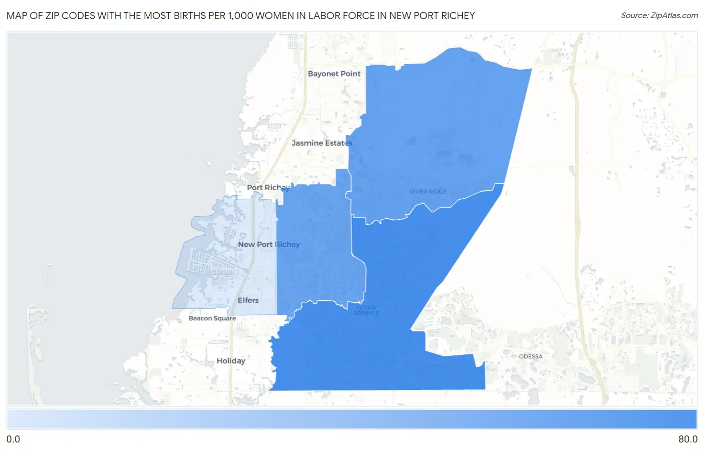Zip Codes with the Most Births per 1,000 Women in Labor Force in New Port Richey Map