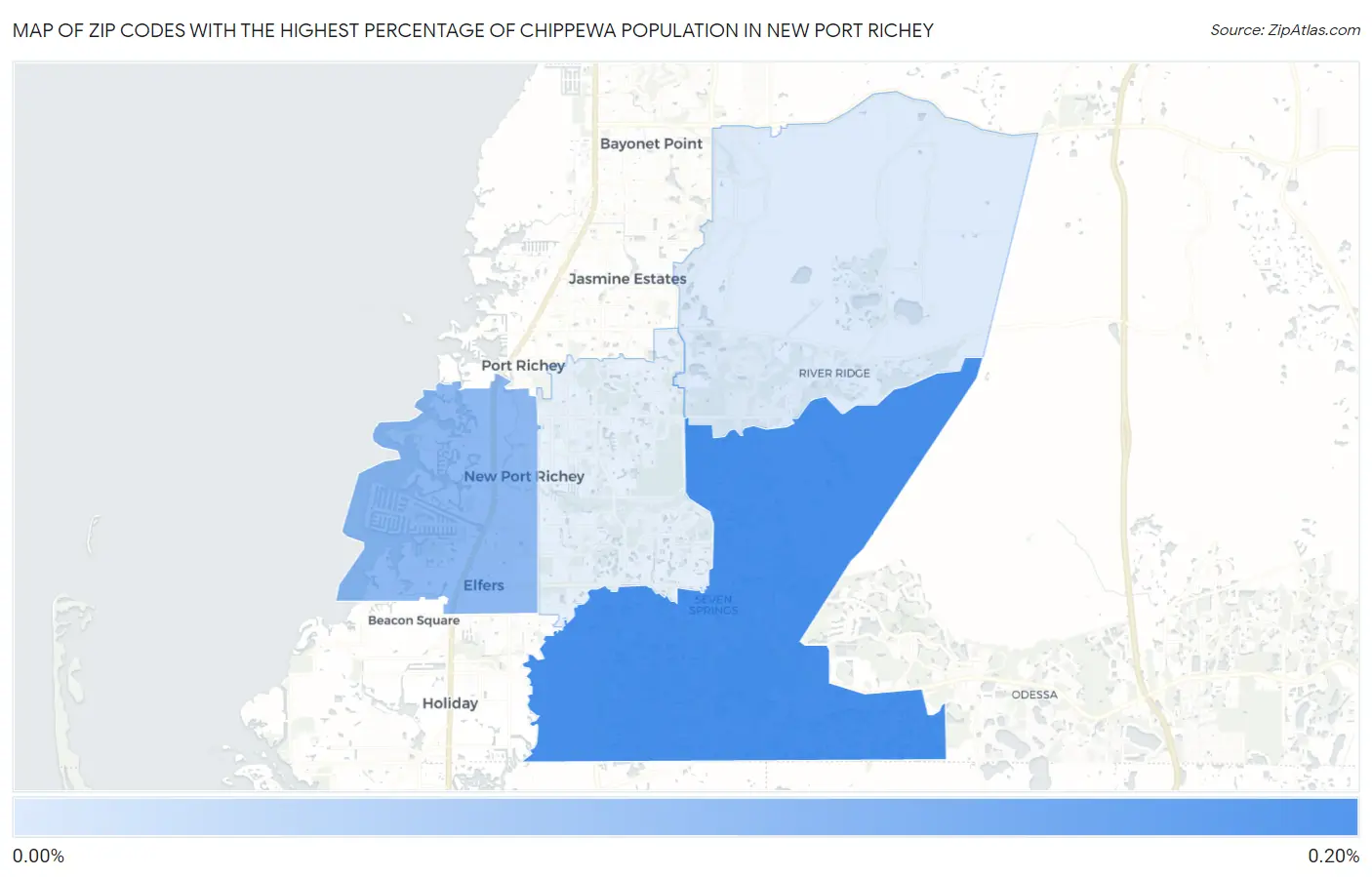 Zip Codes with the Highest Percentage of Chippewa Population in New Port Richey Map
