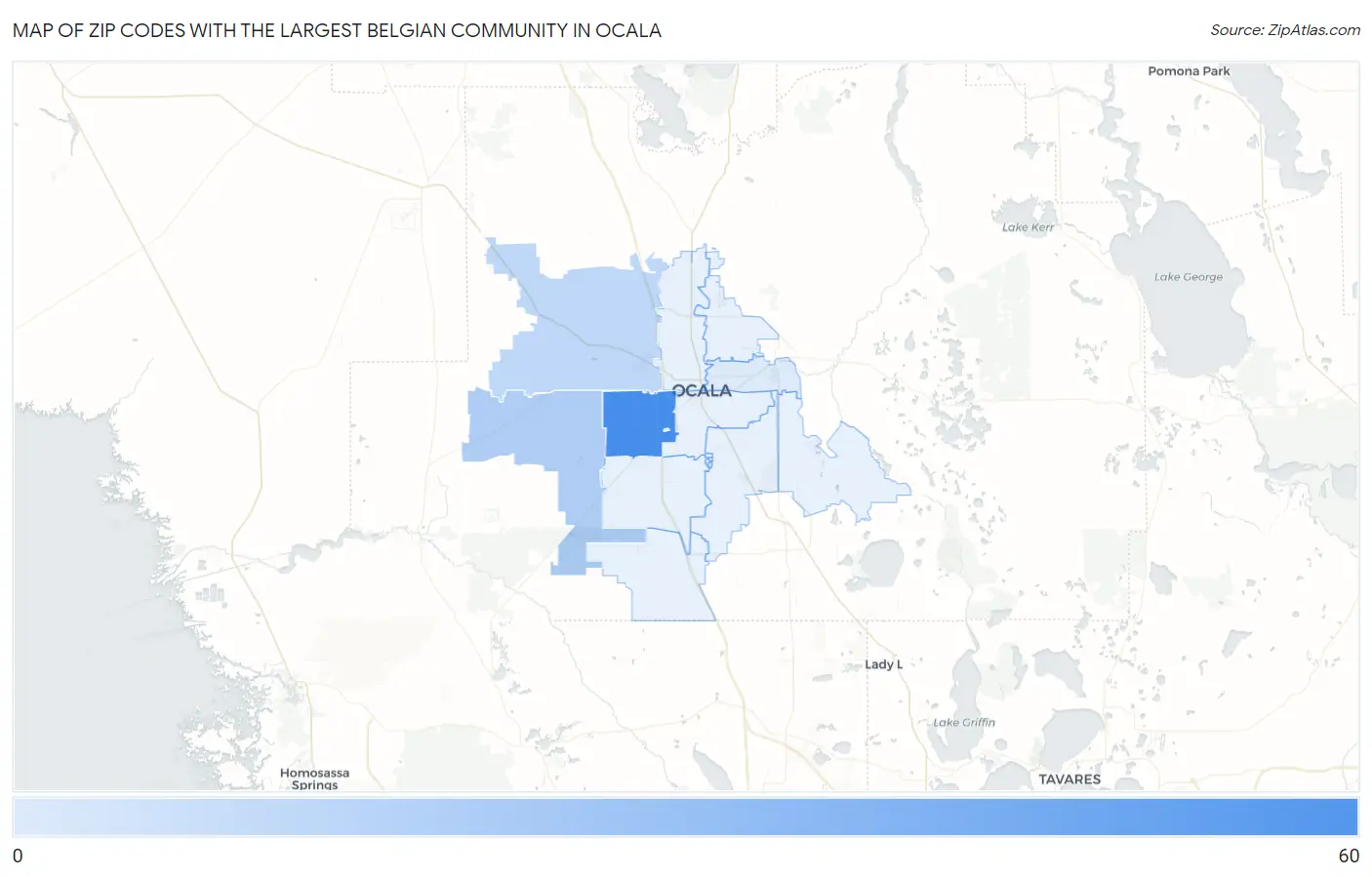 Zip Codes with the Largest Belgian Community in Ocala Map